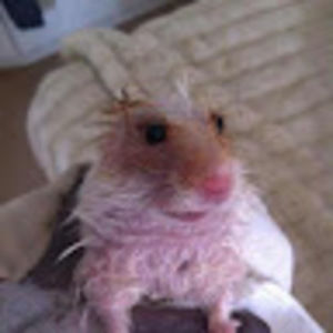 Meet your Posher, Candy